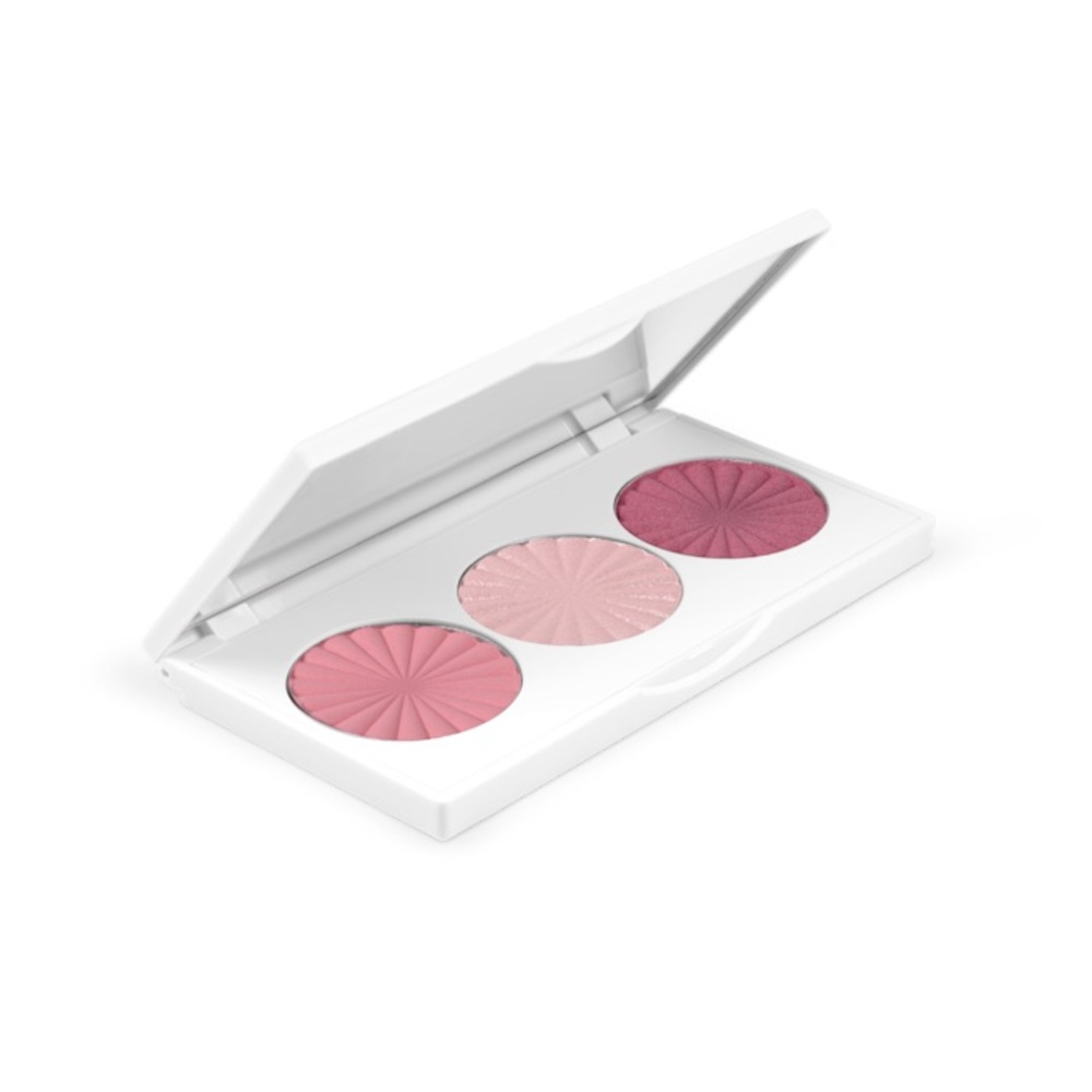 NIB🎉 OFRA MIDI PALETTE - BLOSSOM BLUSH - Picture 2 of 8